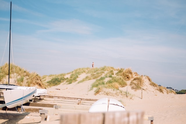 Vogelaars trekken naar het strand van IJmuiden aan Zee en de Zuidpier: ’Hoor mensen, dat geluid: zizip!, zizip! Dat is de graspieper’