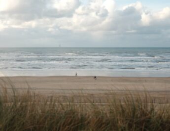 ‘Sandsation’: >100 jongeren ontdekken strandnatuur Noord Holland begeleid door deskundigen