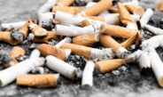 Sigarettenpeuk funest voor Nederlandse natuur